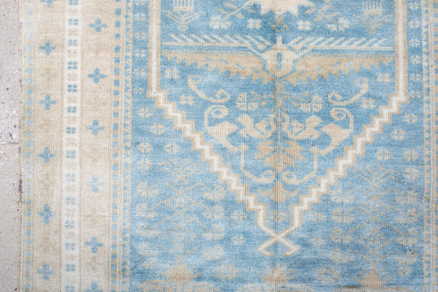 Antique Anatol Runner Rug (3' x 6')